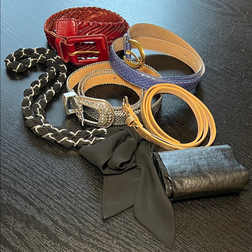 Lot of 6 Women’s Belts - Genuine & Faux Leather, Snakeskin, Chain, Gold Sparkle